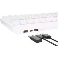 Клавиатура Royal Kludge RK100 RGB (белый, RK Red)