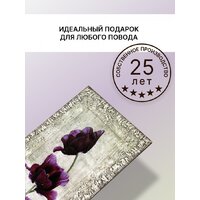 Картина Декарт 8Л0008 (в раме)