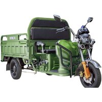 Грузовой электроскутер Rutrike Дукат 1500 60V1000W (зеленый)