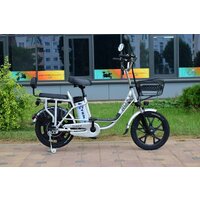 Электровелосипед Terax ROXY NS010