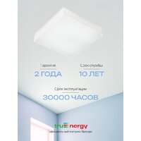 Припотолочная люстра TruEnergy 11167