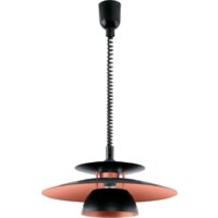 Подвесная люстра Eglo Brenda 31666