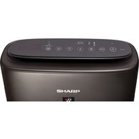 Климатический комплекс Sharp KIN-41RH