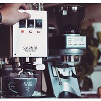 Рожковая кофеварка Gaggia Classic Evo Inox 9481/11