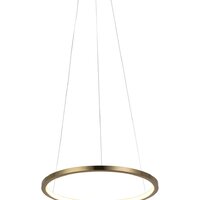 Подвесная люстра LOFT IT Ring 10014S