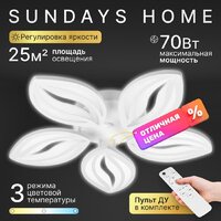 Подвесная люстра Sundays Home KR-43 6341
