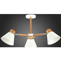 Люстра средней высоты Evoluce Buve SLE103702-03