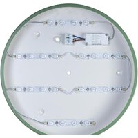 Светильник-тарелка LOFT IT Axel 10003/24 Green