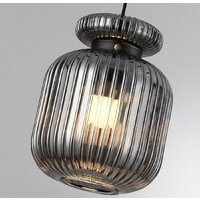 Подвесная люстра Odeon Light Jugi 5042/1B
