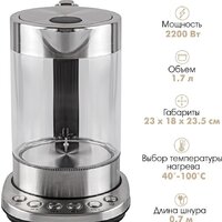 Электрический чайник Endever KR-366G