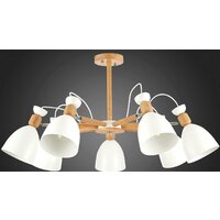 Люстра средней высоты Evoluce Balcamo SLE103802-07