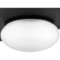 Подвесная люстра Lightstar Emisfero 737337