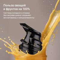 Соковыжималка Redmond (Редмонд) J1409