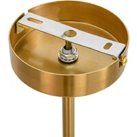 Подвесная люстра Lumion Denver 8276/8