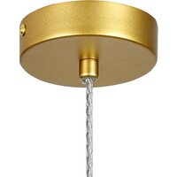 Подвесная люстра Indigo Light Grazia V000429