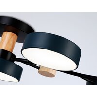 Припотолочная люстра Ambrella light FL4835/5 BK