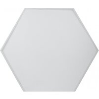 Подвесная люстра ЭРА Geometria Hexagon SPO-122-W-40K-066 Б0058878