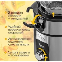 Соковыжималка VLK Profi 4100