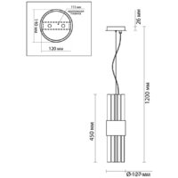 Подвесная люстра Odeon Light Viketa 4786/2