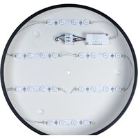 Светильник-тарелка LOFT IT Axel 10002/24 Black