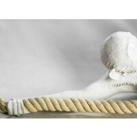 Подвесная люстра Lussole Loft Aya LSP-9993