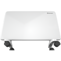 Конвектор Thermex Frame 1000M