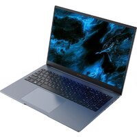 Ноутбук Digma Pro Pactos DN16R5-ADXW04