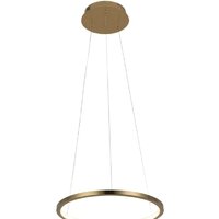 Подвесная люстра LOFT IT Ring 10014S