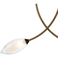 Подвесная люстра Indigo Light Fiore V000140
