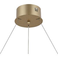 Подвесная люстра Myfar Willem MR2540-1PL