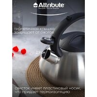 Чайник со свистком Attribute Duet ASD004
