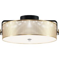 Светильники, люстры, бра, споты Lumion Drumy 6597/40L
