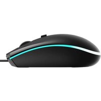 Игровая мышь Rapoo V11S (черный)