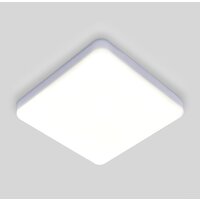 Светильник-тарелка Elektrostandard DLS043 10W 4200K (белый)