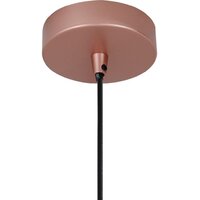 Подвесная люстра Favourite Otium 2212-1P
