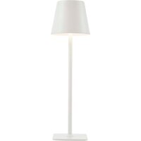 Настольная лампа F-Promo Pyari 4614-1T