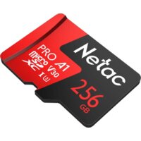 Карта памяти Netac P500 Extreme Pro 256GB NT02P500PRO-256G-S