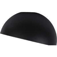 Люстра средней высоты LOFT IT Egg 10197/500