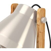 Настольная лампа Eglo Cawton 43953