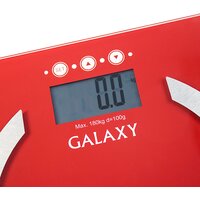 Напольные весы Galaxy Line GL4851