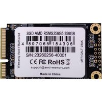 SSD AMD Radeon R5 256GB R5MS256G5