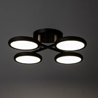 Подвесная люстра BayerLux Алис 10059022 (черный)