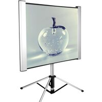 Проекционный экран CACTUS TriAlExpert 102x180 CS-PSTALE-180X102