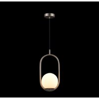 Подвесная люстра LOFT IT Glob LOFT2595-B