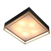 Припотолочная люстра ST Luce Chodo SL1127.422.05