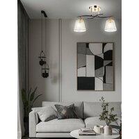 Припотолочная люстра Aitin Pro НПБ 02-2x60-101 6099/2 (золото/черный)