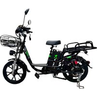 Электровелосипед Terax DVINA LITE NS011
