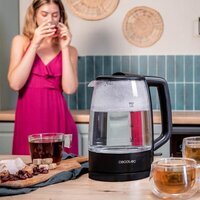 Электрический чайник Cecotec ThermoSense 320 Clear
