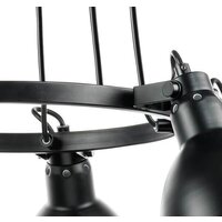 Подвесная люстра Lightstar Acrobata 761167