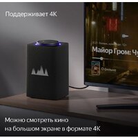 Умная колонка Яндекс Станция Макс (с хабом умного дома Zigbee, графит)